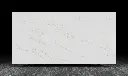 劳伦金.webp