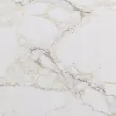 NC7503范思哲金Versace Gold_Detail.webp