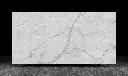 NR8405帝诺金 Dino Gold.webp