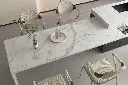 NR8405帝诺金 Dino Gold-效果图_01.webp