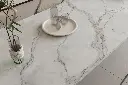 NR8405帝诺金 Dino Gold-效果图_05.webp