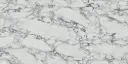 AGQ8545 - Laurencia 